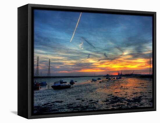 Nature 4-Brian Stevenson-Framed Premier Image Canvas