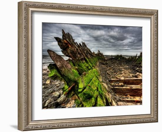 Nature 6-Brian Stevenson-Framed Photographic Print