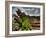 Nature 6-Brian Stevenson-Framed Photographic Print