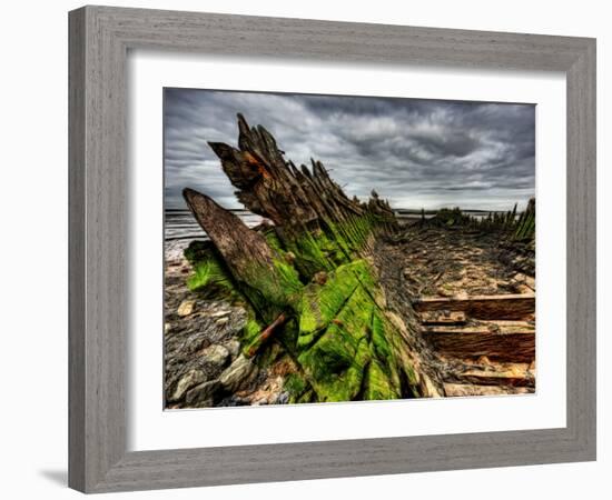 Nature 6-Brian Stevenson-Framed Photographic Print