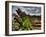 Nature 6-Brian Stevenson-Framed Photographic Print