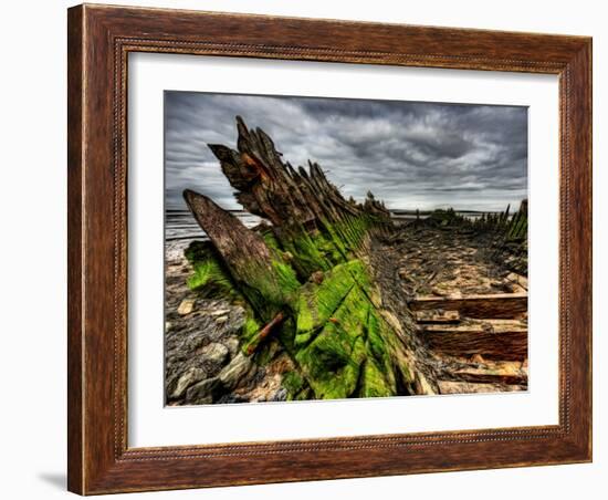 Nature 6-Brian Stevenson-Framed Photographic Print