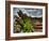 Nature 6-Brian Stevenson-Framed Photographic Print