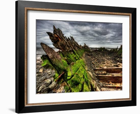 Nature 6-Brian Stevenson-Framed Photographic Print