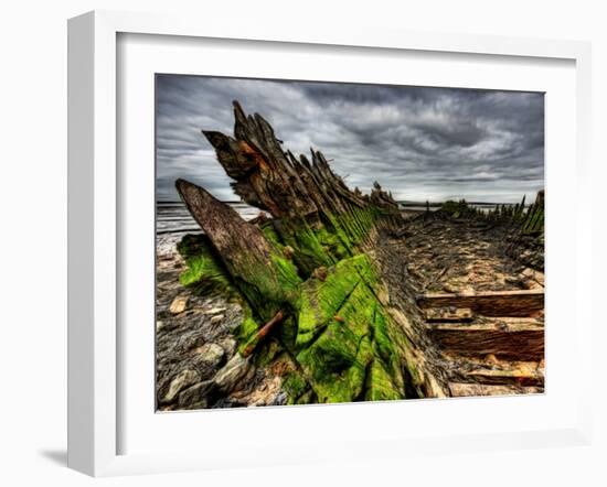 Nature 6-Brian Stevenson-Framed Photographic Print