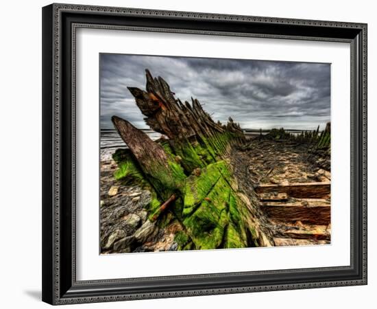 Nature 6-Brian Stevenson-Framed Photographic Print