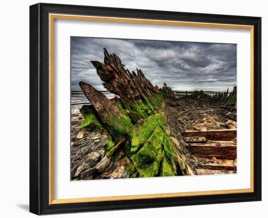 Nature 6-Brian Stevenson-Framed Photographic Print