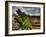 Nature 6-Brian Stevenson-Framed Photographic Print