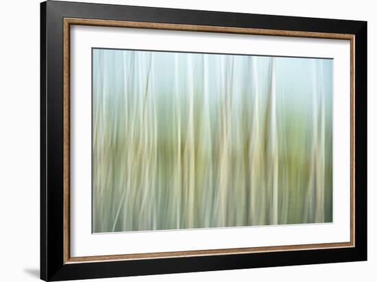 Nature Abstract, Celery Bog Wetlands, West Lafayette, Indiana-Rona Schwarz-Framed Photographic Print