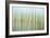 Nature Abstract, Celery Bog Wetlands, West Lafayette, Indiana-Rona Schwarz-Framed Photographic Print