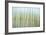 Nature Abstract, Celery Bog Wetlands, West Lafayette, Indiana-Rona Schwarz-Framed Photographic Print