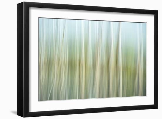 Nature Abstract, Celery Bog Wetlands, West Lafayette, Indiana-Rona Schwarz-Framed Photographic Print