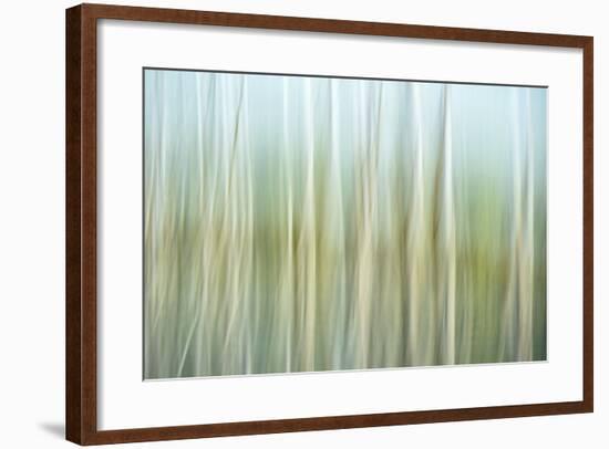 Nature Abstract, Celery Bog Wetlands, West Lafayette, Indiana-Rona Schwarz-Framed Photographic Print