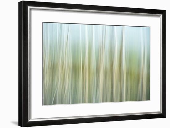 Nature Abstract, Celery Bog Wetlands, West Lafayette, Indiana-Rona Schwarz-Framed Photographic Print