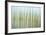 Nature Abstract, Celery Bog Wetlands, West Lafayette, Indiana-Rona Schwarz-Framed Photographic Print