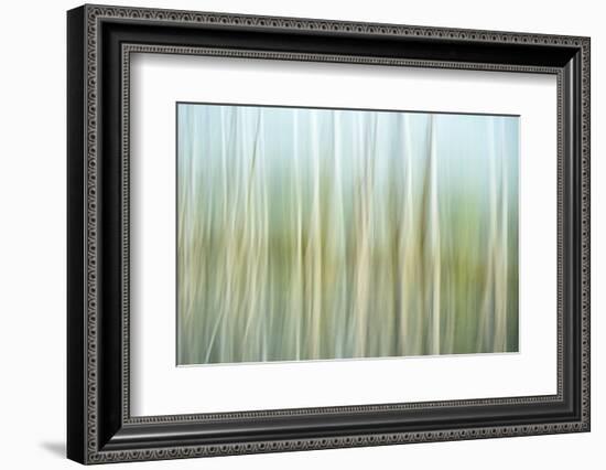 Nature Abstract, Celery Bog Wetlands, West Lafayette, Indiana-Rona Schwarz-Framed Photographic Print