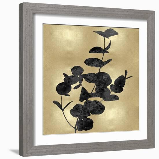 Nature Black on Gold I-Danielle Carson-Framed Art Print