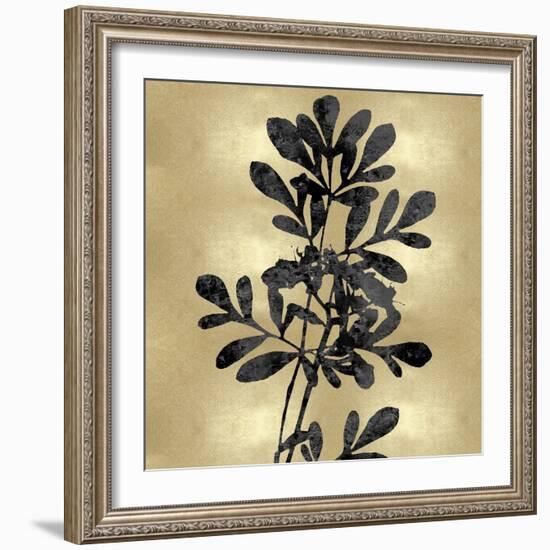 Nature Black on Gold II-Danielle Carson-Framed Art Print