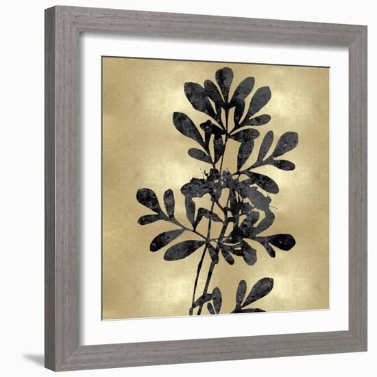 Nature Black on Gold II-Danielle Carson-Framed Art Print