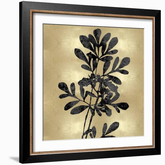 Nature Black on Gold II-Danielle Carson-Framed Art Print