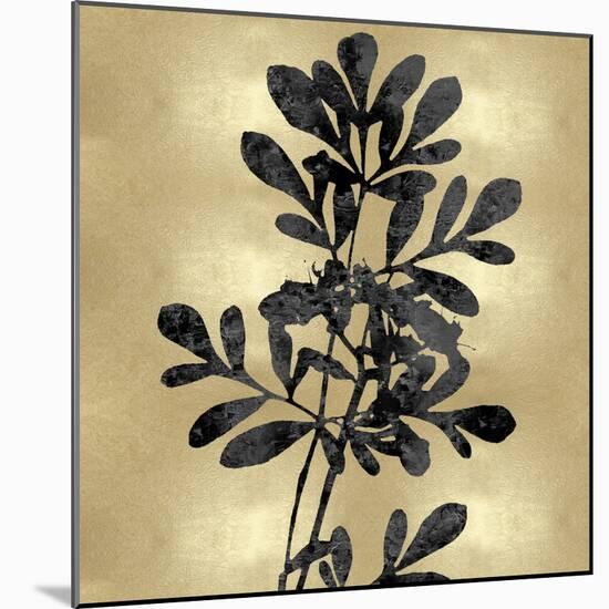 Nature Black on Gold II-Danielle Carson-Mounted Art Print