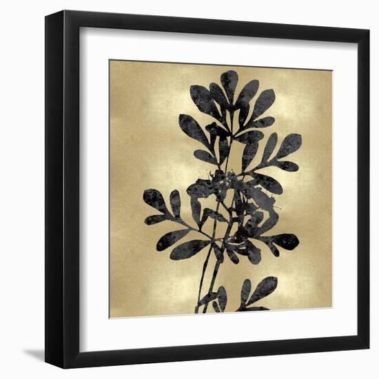 Nature Black on Gold II-Danielle Carson-Framed Art Print