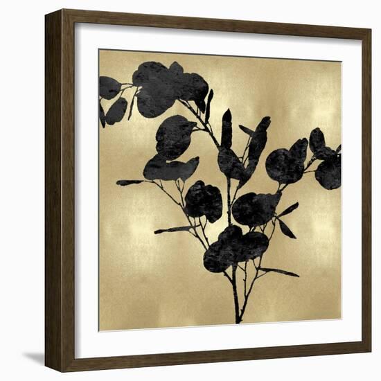 Nature Black on Gold III-Danielle Carson-Framed Art Print