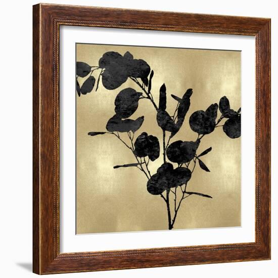Nature Black on Gold III-Danielle Carson-Framed Art Print
