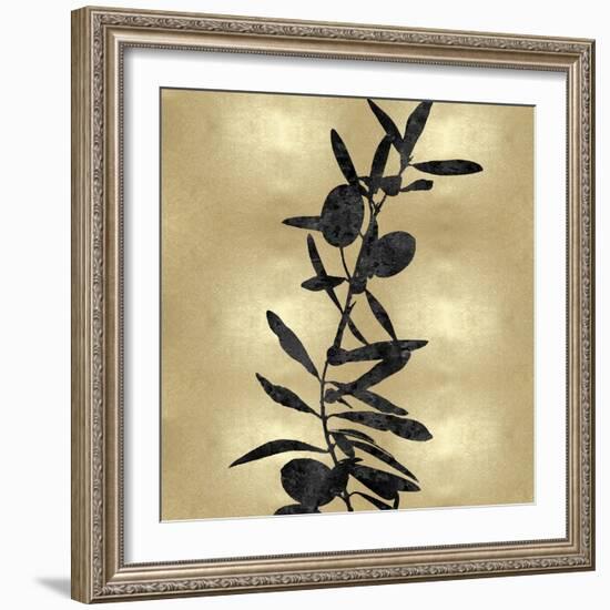 Nature Black on Gold IV-Danielle Carson-Framed Art Print