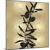 Nature Black on Gold IV-Danielle Carson-Mounted Art Print