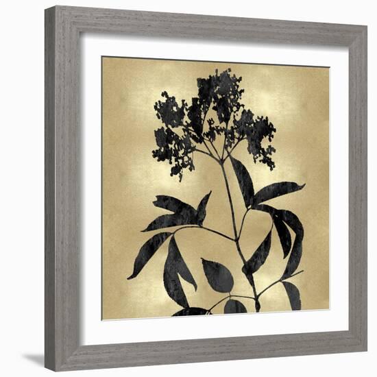 Nature Black on Gold V-Danielle Carson-Framed Art Print