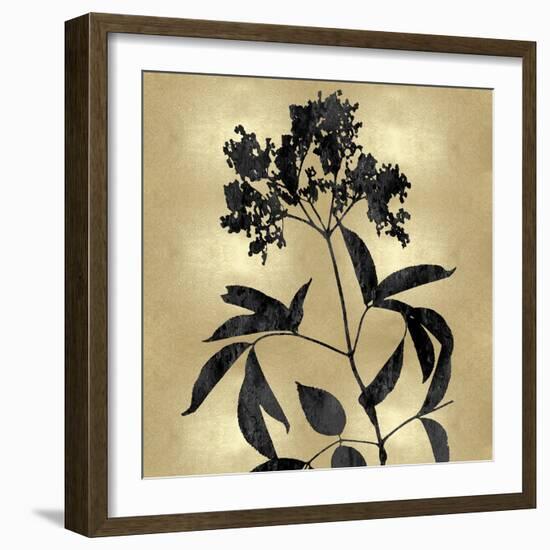 Nature Black on Gold V-Danielle Carson-Framed Art Print