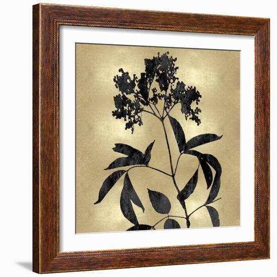 Nature Black on Gold V-Danielle Carson-Framed Art Print