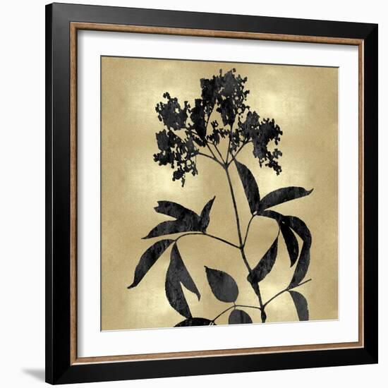 Nature Black on Gold V-Danielle Carson-Framed Art Print