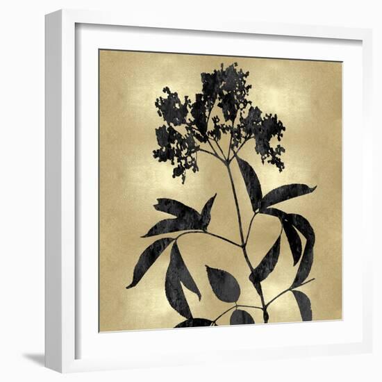 Nature Black on Gold V-Danielle Carson-Framed Art Print