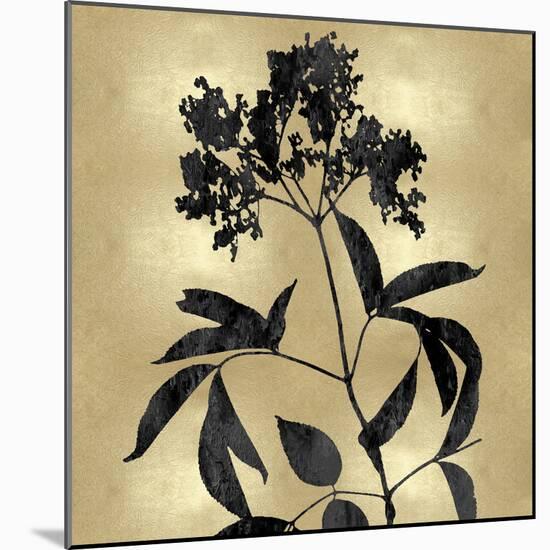 Nature Black on Gold V-Danielle Carson-Mounted Art Print