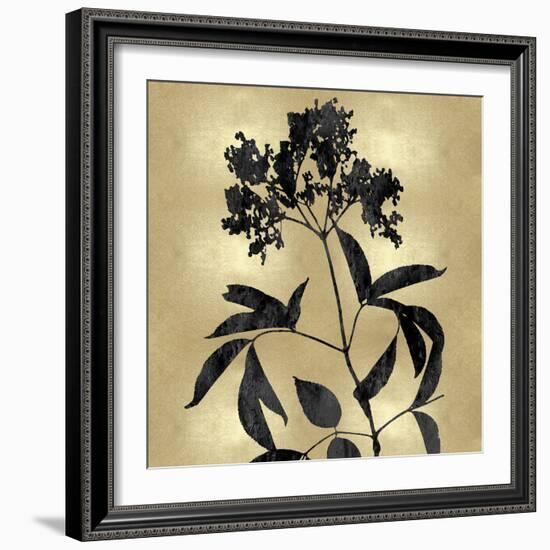 Nature Black on Gold V-Danielle Carson-Framed Art Print