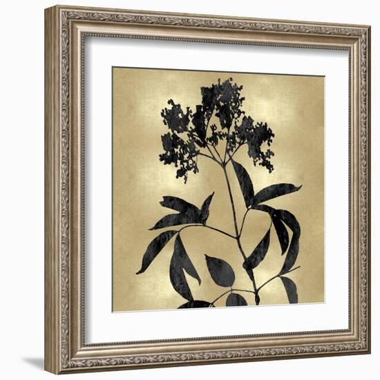 Nature Black on Gold V-Danielle Carson-Framed Art Print