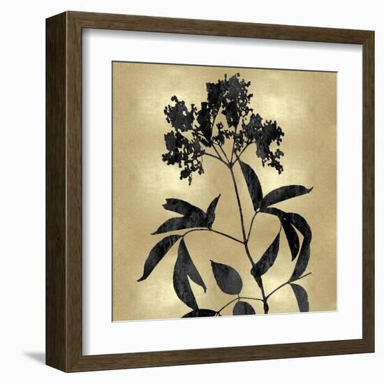 Nature Black on Gold V-Danielle Carson-Framed Art Print