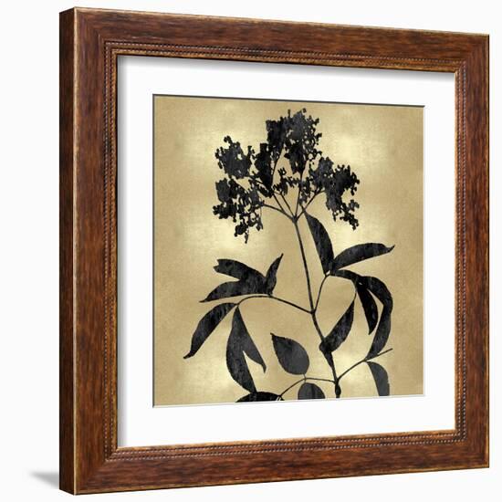 Nature Black on Gold V-Danielle Carson-Framed Art Print