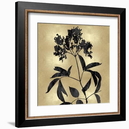Nature Black on Gold V-Danielle Carson-Framed Art Print
