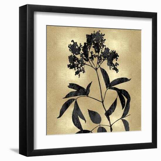 Nature Black on Gold V-Danielle Carson-Framed Art Print