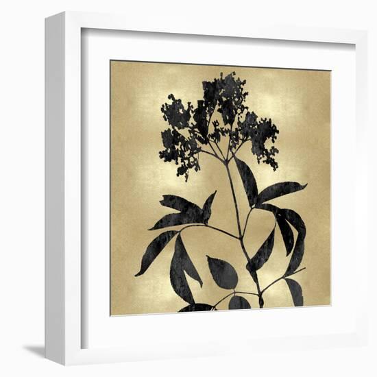 Nature Black on Gold V-Danielle Carson-Framed Art Print