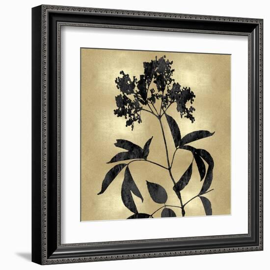 Nature Black on Gold V-Danielle Carson-Framed Art Print