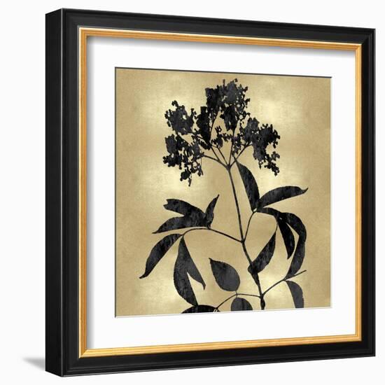 Nature Black on Gold V-Danielle Carson-Framed Art Print