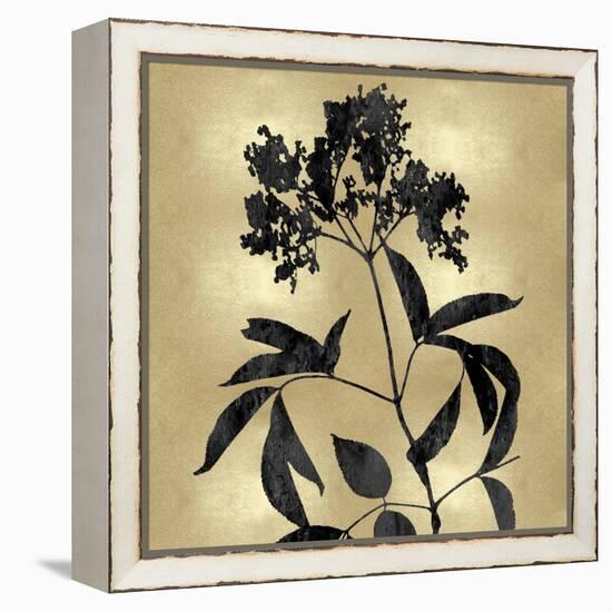 Nature Black on Gold V-Danielle Carson-Framed Stretched Canvas