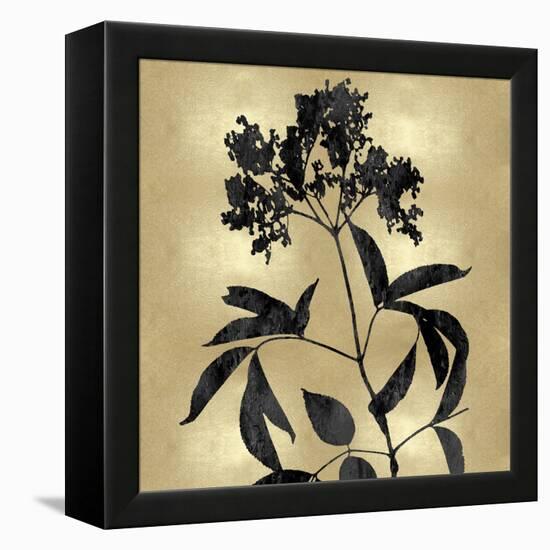 Nature Black on Gold V-Danielle Carson-Framed Stretched Canvas