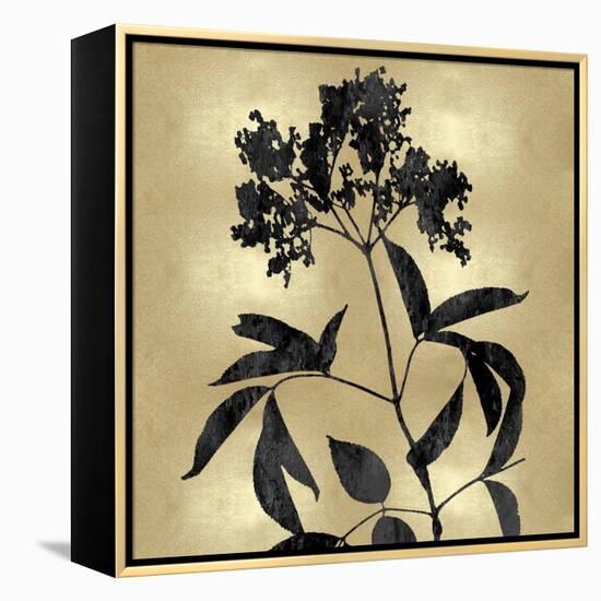 Nature Black on Gold V-Danielle Carson-Framed Stretched Canvas