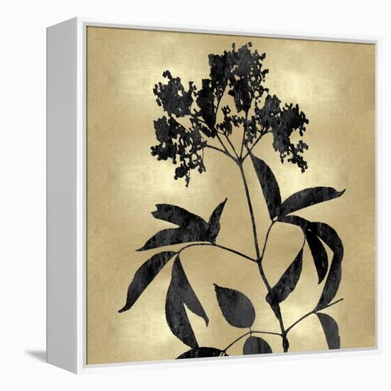 Nature Black on Gold V-Danielle Carson-Framed Stretched Canvas