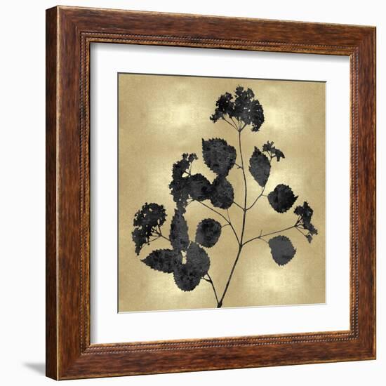 Nature Black on Gold VI-Danielle Carson-Framed Art Print